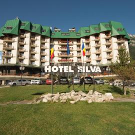 Hotel Silva Busteni，位于布什泰尼的酒店