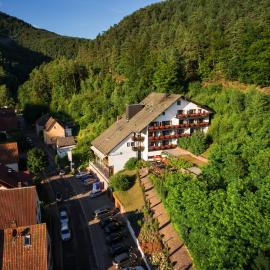 Hotel Die Kleine Blume，位于埃尔夫韦勒的酒店