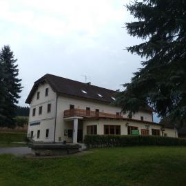 Hotel Sonnenhof，位于利乔的酒店