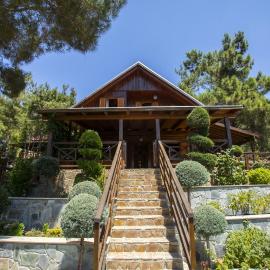 Ricky Chalet Near Troodos，位于Spilia的酒店