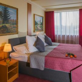 TOP HOTEL Praha，位于布拉格的酒店