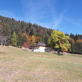 Chalet Musiera，位于Telve的酒店