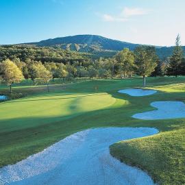The Black Bear Lodge at Stratton Mountain Resort，位于Stratton Mountain的酒店