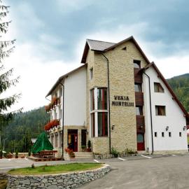 Pensiunea Vraja Muntelui，位于阿列谢尼的酒店