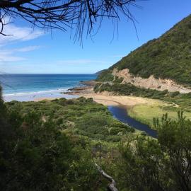 Cumberland River Holiday Park，位于洛恩的酒店