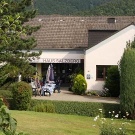 Hotel Haus Salzberg garni，位于施莱登的酒店