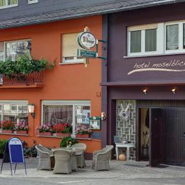 Hotel Restaurant Moselblick，位于温特里希的酒店