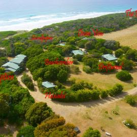 Sandpiper Ocean Cottages，位于比舍诺的酒店
