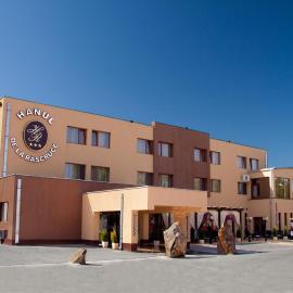 Hotel Hanul de la Rascruce，位于阿拉德的酒店