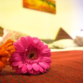 Astro Inn Hotel Express，位于贾拉普的酒店