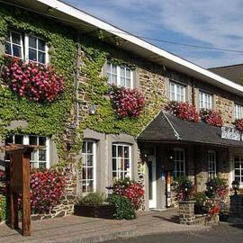 Hostellerie Au Vieux Hetre，位于雅莱的酒店