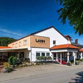 Hotel Restaurant Lamm，位于Stein的酒店