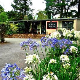 Blackheath Motor Inn，位于黑荒地的酒店