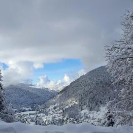 Gite de L'ours