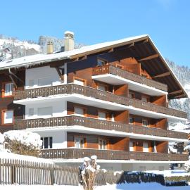 Apartment Champéry Grand Pré A，位于尚佩里的酒店