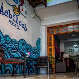 Casa de huespedes Áabilo'ob Hostel，位于普罗格雷索的酒店