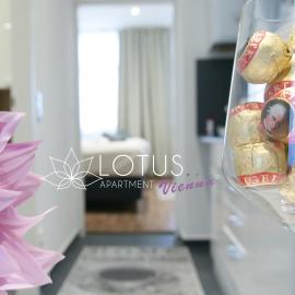 Lotus Apartment Vienna,位于维也纳的酒店