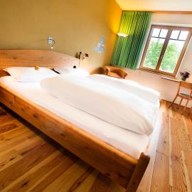 Bio-Hotel Alter Wirt，位于格林瓦尔德的酒店
