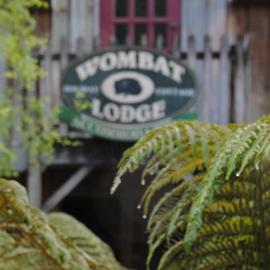 The Wombat Cottage，位于Tullah的酒店