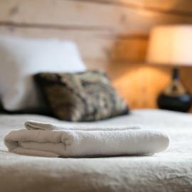 Guesthouse Carl Schmidt，位于珀尔察马的酒店