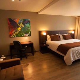 Hotel Manso de Velasco，位于圣费尔南多的酒店