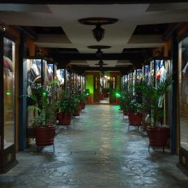 Hotel Temático Mision Colonial，位于圣克里斯托瓦尔-德拉斯卡萨斯的酒店