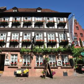 Wein-und Gasthof Zipf，位于米尔滕贝格的酒店
