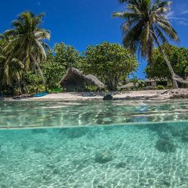 Le Coconut Lodge，位于阿瓦托鲁的酒店
