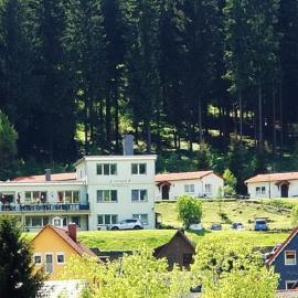 Pension Am Waldesrand，位于伊尔梅瑙的酒店