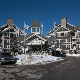Allegheny Springs，位于斯诺肖的酒店