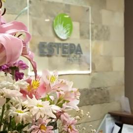 Estepa Hotel,位于罗卡将军市的酒店