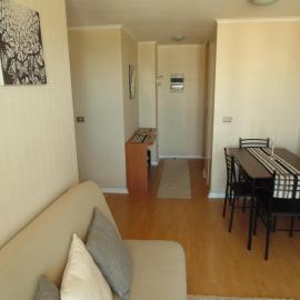 Departamento Concepción Centro，位于康塞普西翁的酒店