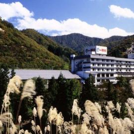 Hotel Yumoto，位于宇津野的酒店
