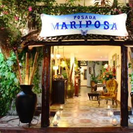 Posada Mariposa Boutique Hotel - 5th Avenue，位于普拉亚卡门的酒店