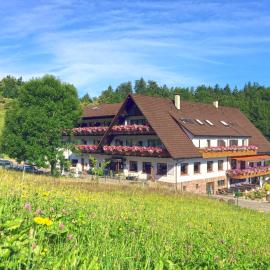 Höhenhotel & Restaurant Kalikutt,位于奥佩瑙的酒店