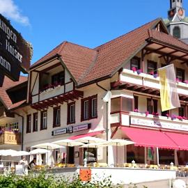 Hotel dasZimmermann，位于托特莫斯的酒店