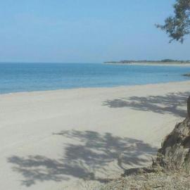Appartamento Alba vista spiaggia，位于托雷莫泽的酒店