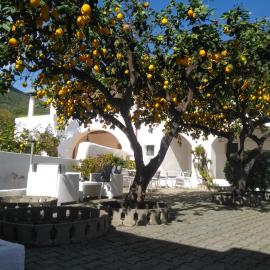 Villa Petrusa，位于斯特龙博利的酒店