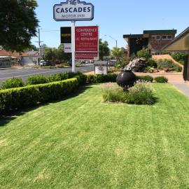 Cascades Motor Inn，位于达博的酒店