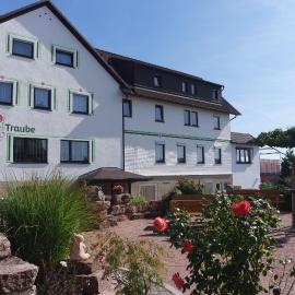 Landhotel Traube，位于Seewald的酒店