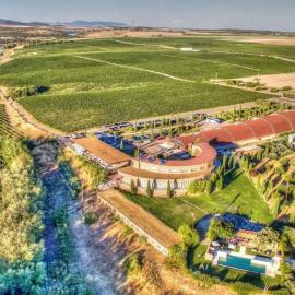 Hotel Bodega Pago del Vicario，位于Las Casas的酒店