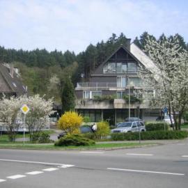 Waldhotel Tropfsteinhöhle，位于维赫尔的酒店
