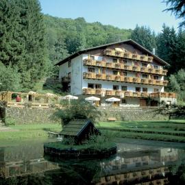 Wolffhotel，位于Kopp的酒店