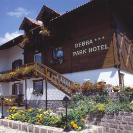 Debra Park Hotel，位于莫埃纳的酒店