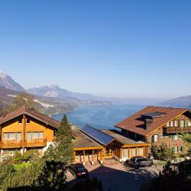 Hotel Meielisalp,位于莱西根的酒店