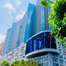 The Bridge Club,位于金边的酒店