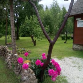 Kalamehe Farmstay，位于Alatskivi的酒店