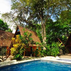 Howler Monkey Hotel,位于蒙特苏马的酒店