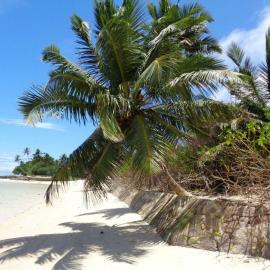 HCS Bungalows Turtle Bay Rustic Bungalow，位于Au Cap的酒店