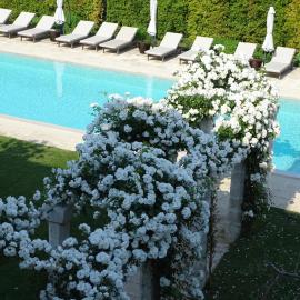 Palazzo Ducale Venturi - Luxury Hotel & Wellness，位于米内尔维诺迪莱切的酒店